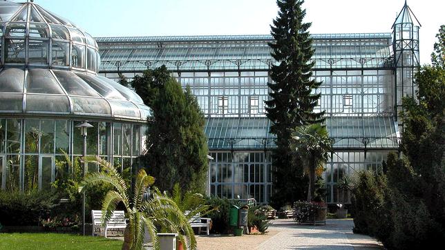 Bild: WDR Tropenhaus Berlin Dahlem