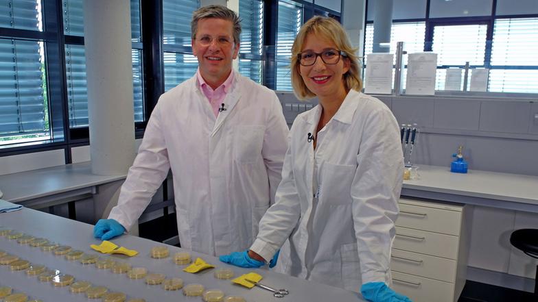 10 bei welcher temperatur sterben pilzsporen ab Ideen