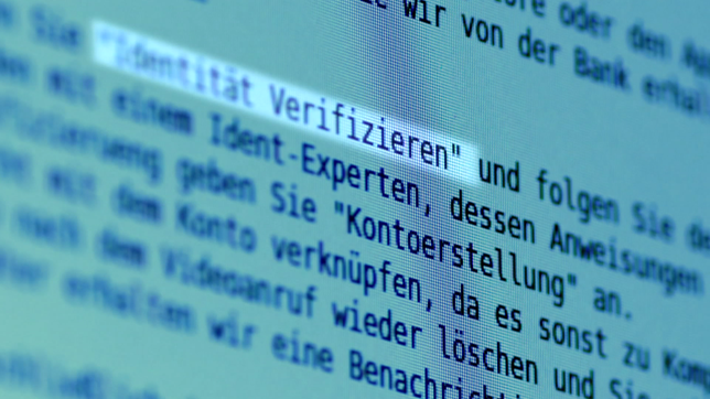 Bild: SWR Christian van Bargen wurde dazu aufgefordert, seine Identität zu verifizieren.