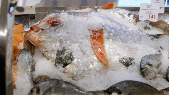 Bild: Das Erste/NDR Frischer Fisch in der Theke