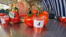 Lebensmittelcheck Tim Mälzer Wie gut ist Gemüse?: Tomatentest