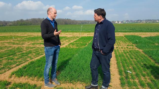 Bild: NDR/Maren Winter Tim Mälzer im Gespräch mit dem Agrarbiologen Dr. Friedrich Longin. Er erforscht Getreidebestandteile, die Beschwerden verursachen könnten.