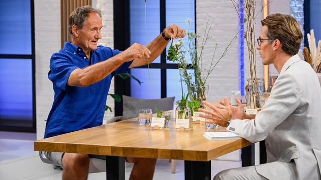 Bild: ARD/Markus Hertrich Der selbsternannte Extrembotaniker Jürgen Feder erklärt eindrucksvoll, welche Kräuter am Straßenrand wachsen und wie sie wertvoll und nutzbar sind (mit Dr. Johannes Wimmer).