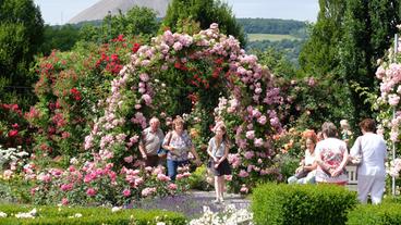 Das Europa-Rosarium in Sangerhausen