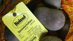 Kartoffeln mit Bio-SiegelSo verlangen die Anbauverbände beispielsweise, dass Betriebe komplett ökologisch arbeiten. Einzelne Zweige (zum Beispiel die Tierhaltung) können nicht ausgenommen werden.