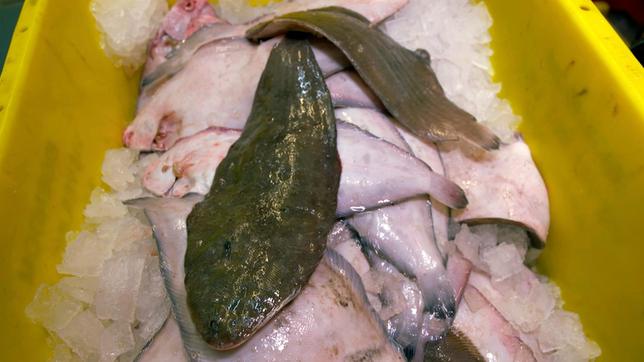 Bild: MDR Seezunge in einer Fischkiste. Wie „Vorsicht, Verbraucherfalle!“ recherchiert hat, wird dieser teure Fisch auf Speisekarten angeboten, aber nicht selten werden dann die Gäste mit günstigem Pangasius abgespeist.