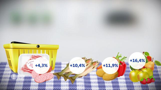 Bild: SWR Statistisches Bundesamt: Preisentwicklung 2012 bis 2016