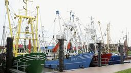 Der kleine Hafen von Ditzum