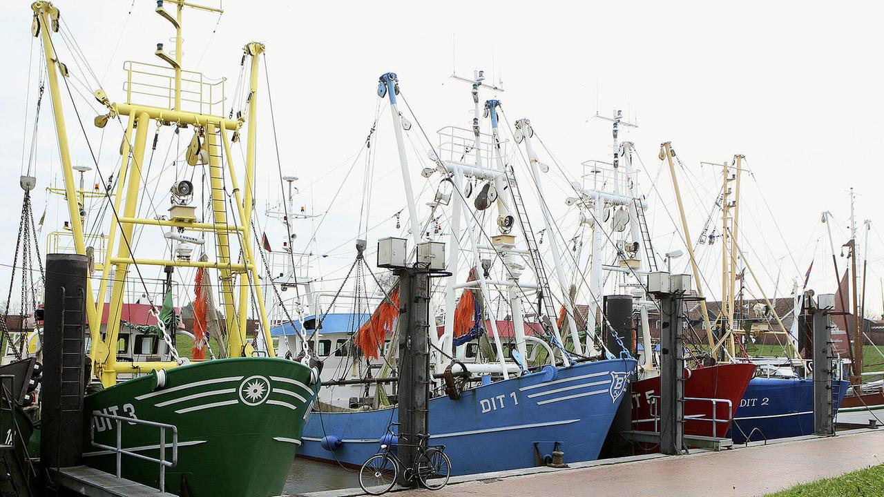 Der kleine Hafen von Ditzum