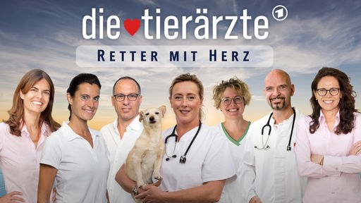 Alle Folgen Die Tierarzte Retter Mit Herz Ard Das Erste