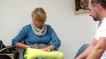 Der Rügener Tierarzt Marco Nieburg wird das Katzenbaby Cadjuscha operieren müssen. Besitzerin Birgitt Neels darf bei der OP mit anpacken.