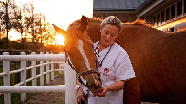 Stephanie Petersen ist nicht nur leidenschaftliche Tierärztin – sie pflegt auch eine ganz besondere Liebe zu Trakehnern, der ältesten Reitpferderasse Deutschlands.