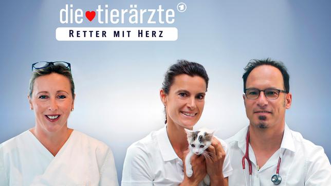 Die Serie begleitet in 30 Folgen Tierärzte in ganz Deutschland, darunter Dr. Stephanie Petersen, Dr. Yasmin Diepenbruck und Dr. Tobias Neuberger (von links).