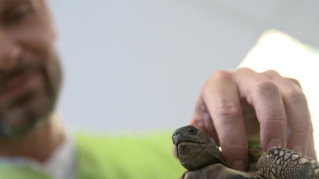 Bild: NDR/Doclights GmbH 2019 Dr. Gerd Britsch hat sich auf Vögel und Reptilien spezialisiert.