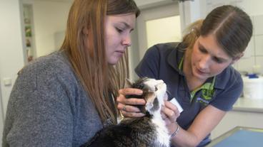 Bild: NDR/Doclights GmbH 2019 Zu den Patienten von Dr. Sita Meinzer zählen vor allem Katzen und Hunde, aber auch Kaninchen oder Mäuse.