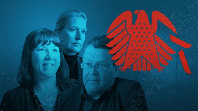 AfD-Leaks: Die geheimen Chats der AfD-Bundestagsfraktion
