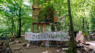 Bild: MDR Protestcamp im Hambacher Forst