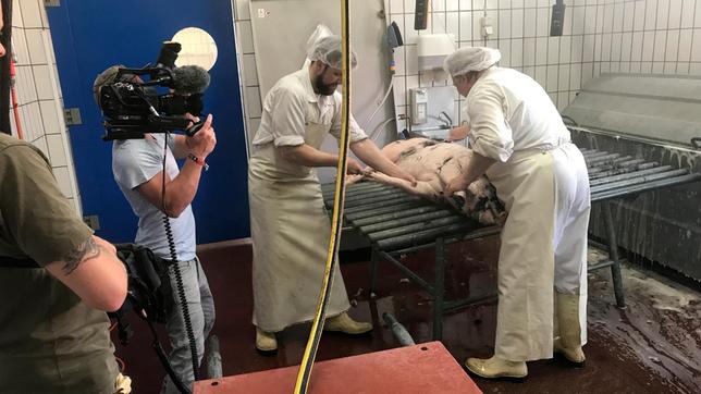 Bild: SR/Sigrid Born Auch Bio-Schweine müssen sterben.