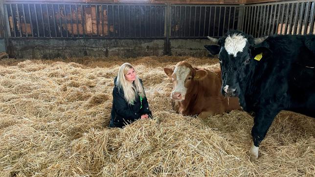 Conny Böttger (48) im Stall in Börnchen bei Glashütte mit zwei geretteten Kühen (links Bella, ihre erste gerettete Kuh und rechts Celsius, eines der jüngsten geretteten Tiere auf dem Gut)