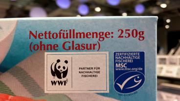 Bild: WDR/Wilfried Huismann MSC – ein Gemeinschaftsprojekt von Industrie und WWF.