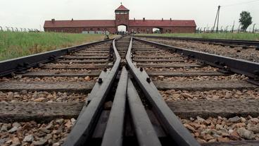 Auf den Schienen des Güterbahnhofs von Auschwitz-Birkenau. 