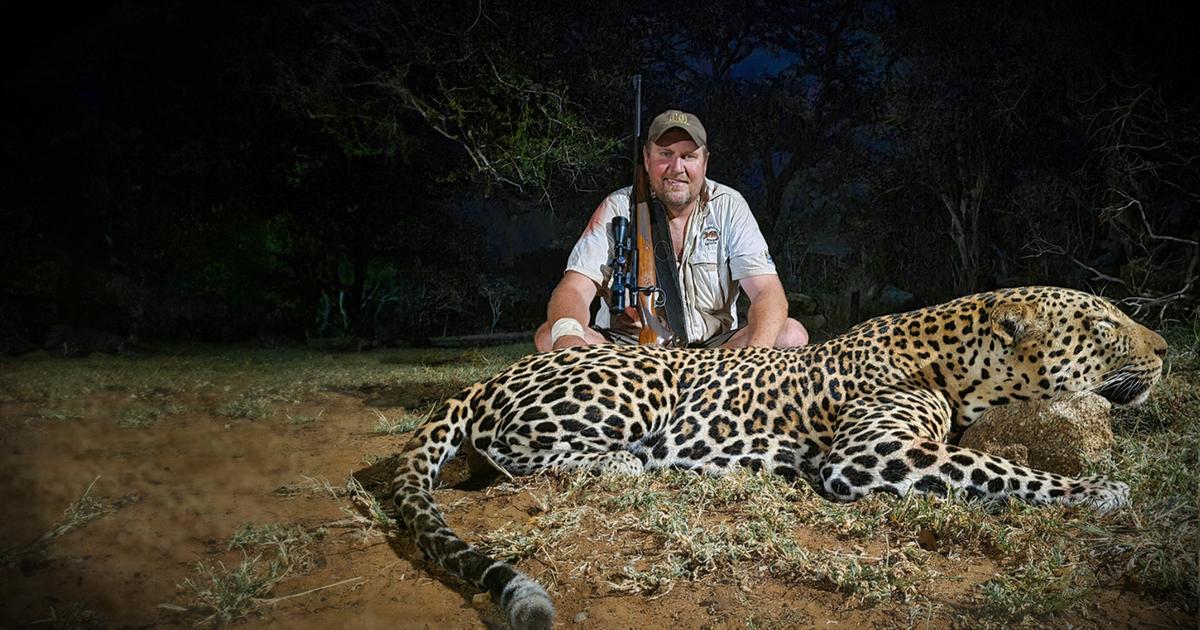 Trophäenjagd Drama Der Mann Der Jahrelang Wilde Tiere Tötete Erlebte Sein Brutales Ende - tpce6h9