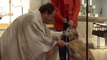 Priester mit Hund