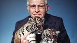 Bernhard Grzimek mit kleinen Tigern