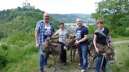 Die Passagiere André Pohlai und Nicole Bilan-Wedel sowie der Hochsee-Reiseleiter Bernd Wallisch machen eine Wanderung mit Eseln in Braubach.