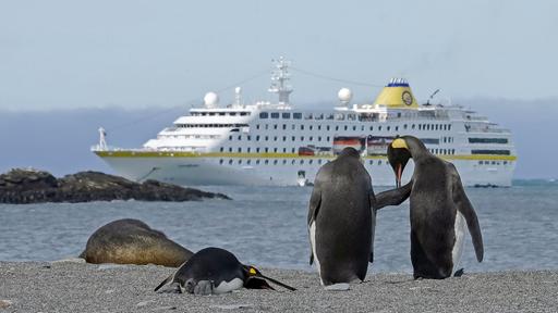 Das Kleine Kreuzfahrtschiff Verruckt Nach Meer Ard Das Erste
