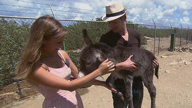 Bild: BR Zu Besuch auf einer Eselfarm