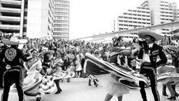 Eröffnungsfeier der Olympischen Spiele in München 1972