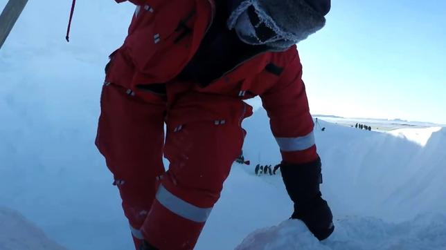 Was geschieht mit den Pinguinen in der Schlucht?