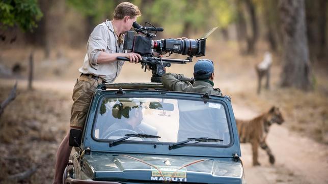 Bild: WDR/BBC/Theo Webb Vom Auto behalten die Filmer noch am besten den Überblick: bei fünf Tigern in einer Familie gar nicht so leicht.
