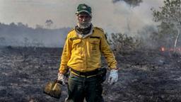 Mitarbeiter des IBAMA, der brasilianischen Umweltbehörde, steht inmitten eines von den Waldbränden zerstörten Waldstücks.