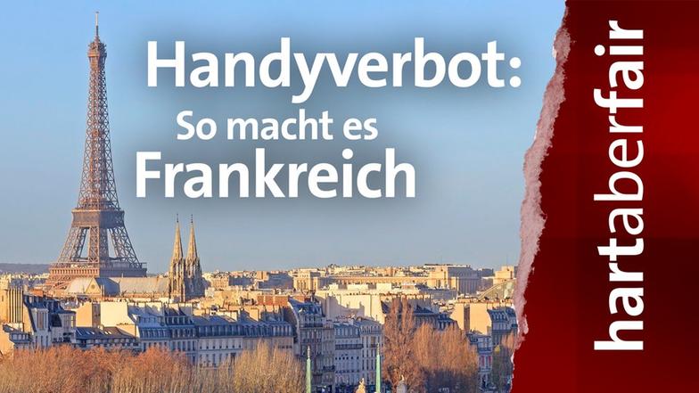 Frankreich Plakat Schule
