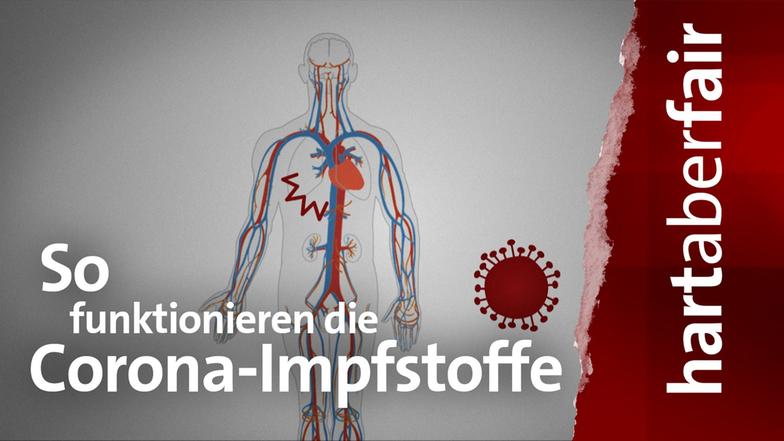 Hart Aber Fair 2.3 2021 Hart Aber Fair 2.3 2021