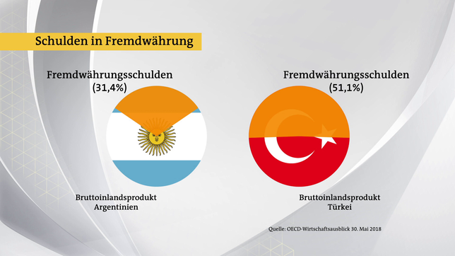 Bild: Das Erste Schulden in Fremdwährung – eine Gefahr.