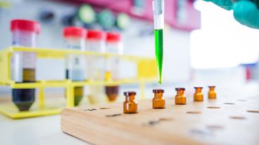 Eine Methode lässt extrahierte Stammzellen auf einer Nährlösung wachsen.