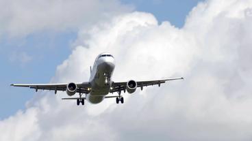 Bild: ARD Viele wollen zureit nicht ins Flugzeug.