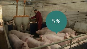 Bild: ARD Nur schätzungsweise fünf Prozent der deutschen Landwirte halten ihre Tiere aktuell wie von Aldi gefordert.