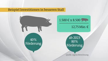 Bild: ARD Beispielrechnung für die Investition in einen besseren Stall für Landwirt Matthias Teepker.