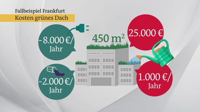 Bild: Das Erste Kosten für ein grünes Dach an einem Beispiel in Frankfurt.