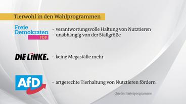 Bild: ARD Tierwohl in den Wahlprogrammen der Parteien.