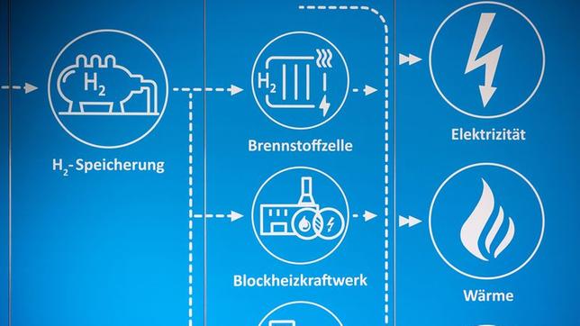 Bild: picture alliance/ dpa/Jens Büttner Grafik über Wasserstoff Produktion und Nutzung