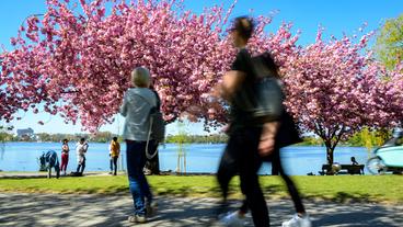 Bild: picture alliance/Axel Heimken Spaziergänger im Frühling