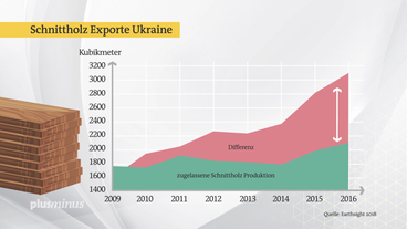 Bild: SWR Grafik: Ukraine exportiert mehr Holz, als Sägewerke verarbeiten