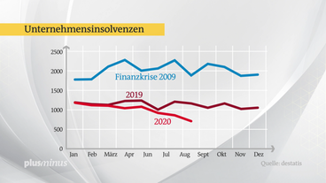 Bild: SWR Grafik: Insolvenzen im Vergleich
