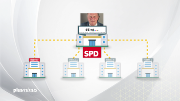 Bild: SWR Grafik: Struktur von DDVG und Öko-Test