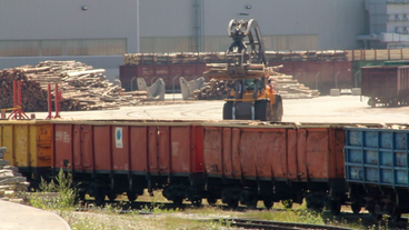 Bild: SWR Holzumschlag in Rumänien